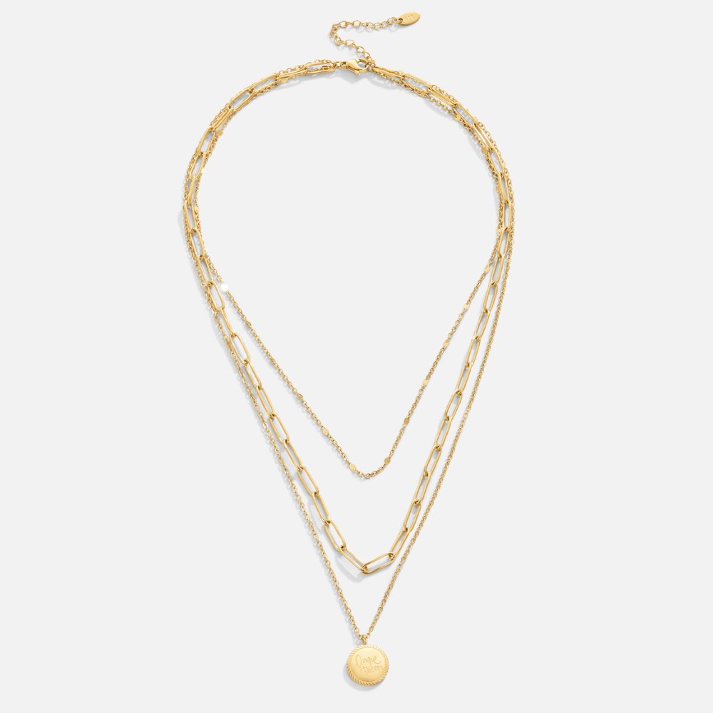 Gabrielle Coin Layered Necklace